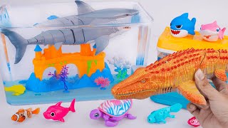 [Toy asmr] RC Mosasaurus & Zuru Robo Fish & Aquarium Playset& RC Shark ASMR Satisfying with Unboxing