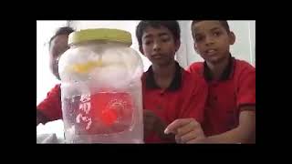 2018 | Atal Community Day 2018 celebrated at the School of Creative Learning in Patna