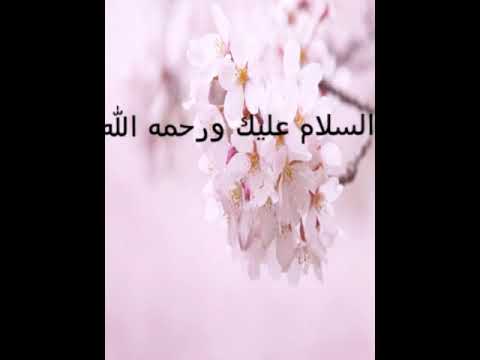 ارض للبيع في بلبيس في مصر