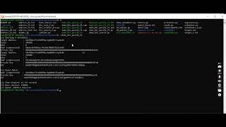 BTC_PUZZLE-71 Solver CPU - Version