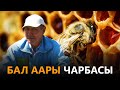 NewTV// Бал аары чарбасы // АЗЫРКЫНЫН АЗАМАТТАРЫ