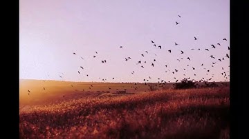 To Be Free (Snippet) - Unknown Song, Artist | Help To Identify