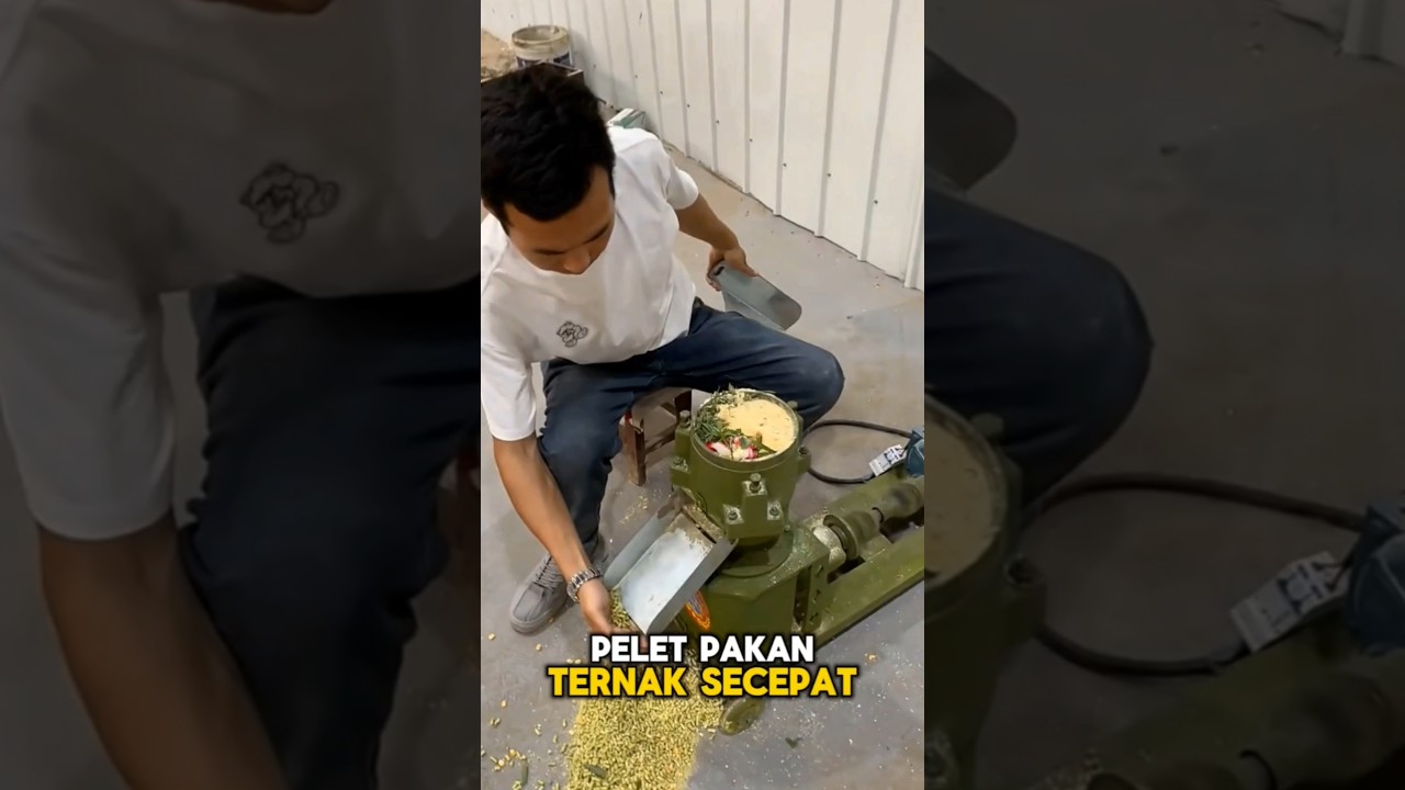 Solusi Mesin Pakan Ternak Efisien 🌾 
