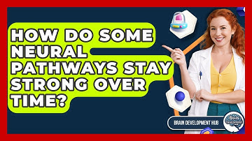 How Do Some Neural Pathways Stay Strong Over Time? - Brain Development Hub