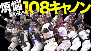 煩悩を振り払う『108キャノン』まとめ