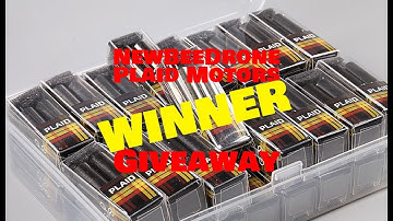 NewBeeDrone Plaid Motors Winner
