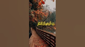 "ندى"#صل_على_النبي #تلاوة_خاشعة #اكسبلور #تيك_توك #المصحف #فولو #لايك #ترند #اكسبلورر