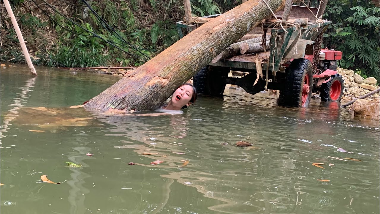 giant wood transport agricultural vehicle