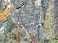 Горный Алтай. Наскальные рисунки (петроглифы) древних жителей.