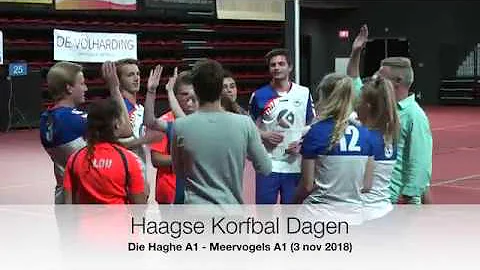 Die Haghe A1 - Meervogels A1 (HKD)