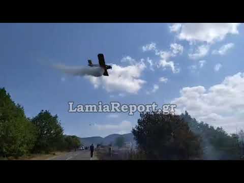 LamiaReport.gr: PZl επιχειρούν στο Σκαμνό