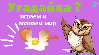 Угадайка , веселая игра с вопросами и ответами , познавательная программа