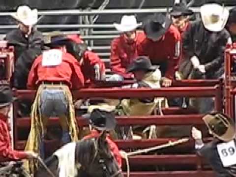 When SHARK attended the 2008 "World's Toughest Bulls and Broncs" rodeo in Peoria, Illinois in January 2008 it was just the latest in a long line of exposes of David Morehead and his Three Hills Rodeo Company. Three Hills and Morehead, a member of the PRCA, have a long history of shocking animals, and has a conviction for animal cruelty in Pennsylvania.