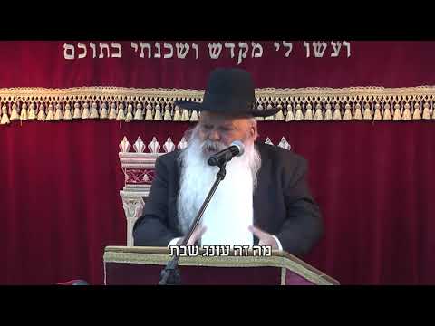 אין תענוג כמו התורה | קצרים | הרב דניאל זר