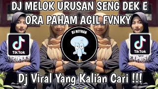 DJ MELOK URUSAN SENG DEK E ORA PAHAM IKI UREPKU IKI LAGUKU | DJ JAMANE JAMAN WES JAMAN EDAN VIRAL!