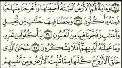 سورة يس للقارئ ياسر الدوسري.