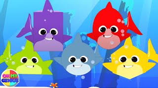 five hungry sharks animal songs and cartoon videos for kids