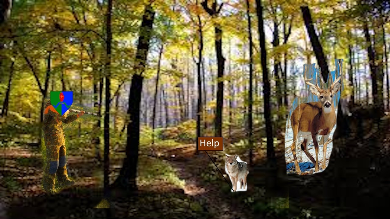 I Missed a Deer so Badly that I shot a Coyote in The Hunter Call of the Wild