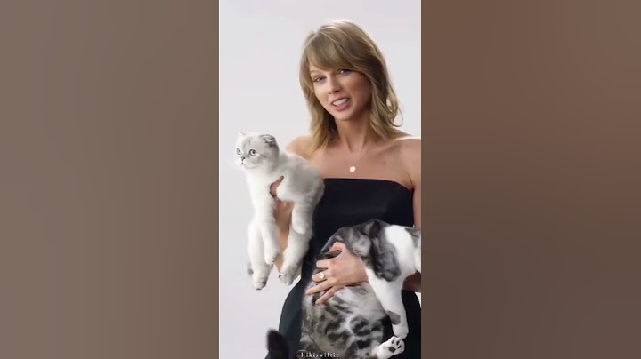 Taylor Swift  and her cats 🤣🤣
