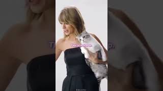 Taylor Swift  and her cats 🤣🤣 screenshot 4