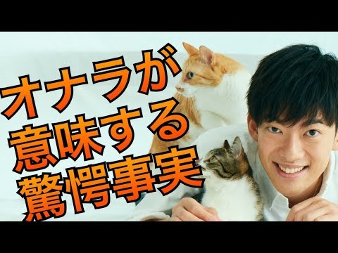 オナラの頻度が意味する驚愕の事実