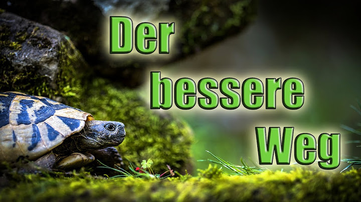 Der bessere Weg