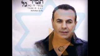 Video thumbnail of "תמיר גל - שקרי למעני"