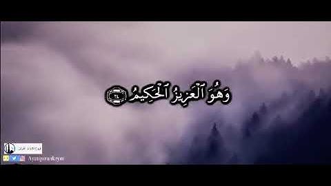 تلاوة خاشعة تروي ظمأ القلب للشيخ عبد المحسن الضباح سورة الحشر