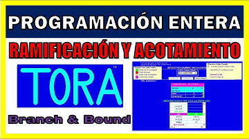 PROGRAMACIÓN ENTERA | RAMIFICACIÓN Y ACOTAMIENTO CON TORA