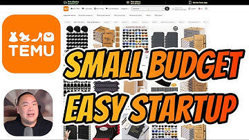 How to Start a Business with TEMU on a Budget: Reselling Made Easy