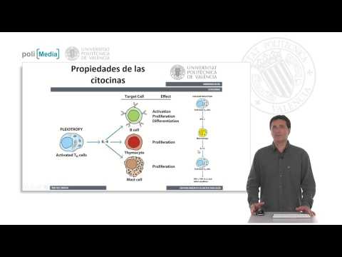 Vídeo: Biología De Las Citocinas Recientemente Descubiertas: Discernir Las Propiedades Pro Y Antiinflamatorias De La Interleucina-27