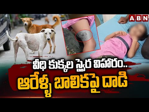 వీధి కుక్కల స్వైర విహారం..ఆరేళ్ళ బాలికపై దాడి | Stray Dogs Attack 6 yrs Girl In Ramanpudi | ABN - ABNTELUGUTV
