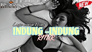 LAGU JOGET VIRAL__INDUNG-INDUNG__AMT RMXR2 🌴🌄