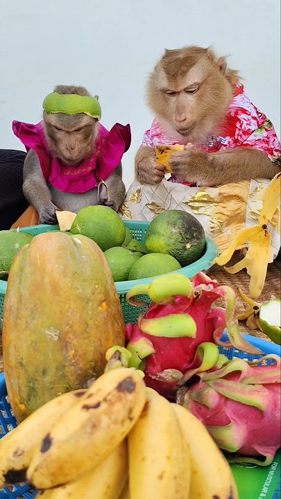 YaYa shally with fruit 🍑🍓🍑