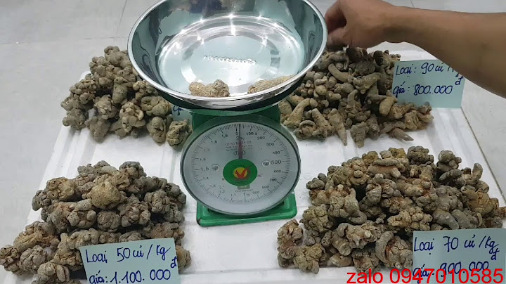 Củ tam thất bắc giá bao nhiêu 1kg