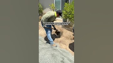 Thinking of installing artificial turf yourself?