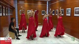 Danza flamenca en Suiza que llega a Almería