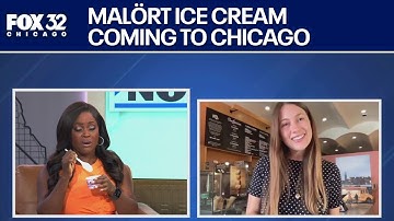 Van Leeuwen ice cream brings Malört flavor to Chicago for grand opening | ChicagoNOW