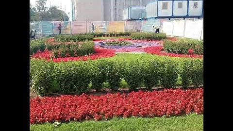 Phiêu bạc nơi xứ người