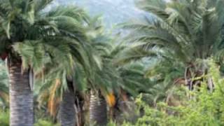 Parque Nacional La Campana