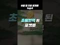 이름 잘 지은 포켓몬 top4