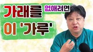 가래 없애는 ‘가루’, 목에 잔뜩 낀 가래 없애기, 가래 생기는 이유  [한의학박사 김순렬] Bellflower powder to remove phlegm