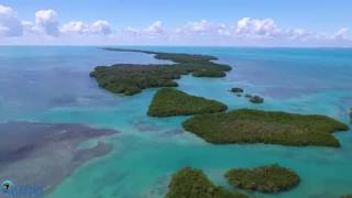 Sawfish Conservation Mexico - Caribbean field trip 2016