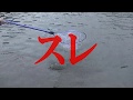 【管理釣り場】デカすぎ。アングリングファンの撮影にお邪魔#154