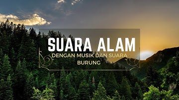 Instrumen Relaksasi Pagi | Penambah semangat dan Energi Positif | Instrumen Piano dan Kicauan Burung
