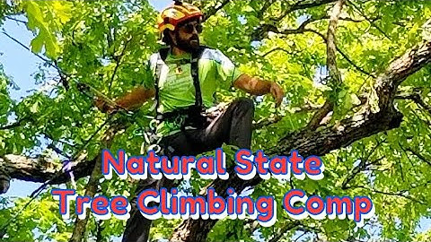 Natural State Tree Climbing Competition Work Climb 1