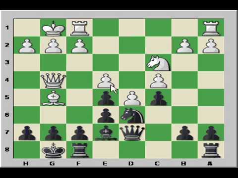 How To Set Up A Chess Board 🎓 Beginner Chess Lessons - GM Damian Lemos 