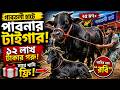 গাবতলী হাটে “পাবনার টাইগার” 🐂 |  এবারের গরুর হাটের দামী গরু । কোরবানি ২০২৬