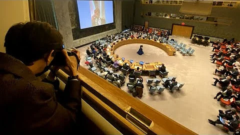 UNSC members condemn Russia's attack on a nuclear plant in Ukraine • FRANCE 24 English