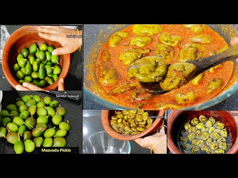 வடுமாங்காய் ஊறுகாய் செய்வது எப்படி |Maavadu Pickle|Tender Mango Pickle